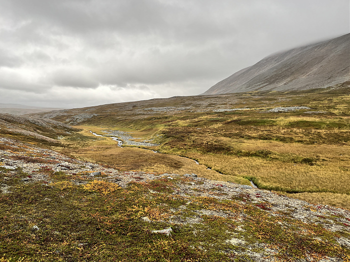 Klicke auf die Grafik für eine vergrößerte Ansicht  Name: 20230-09 Varanger - 003327.jpg Ansichten: 0 Größe: 5,63 MB ID: 3262506
