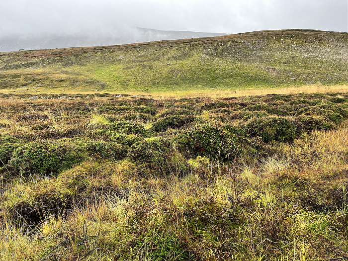 Klicke auf die Grafik für eine vergrößerte Ansicht  Name: 20230-09 Varanger - 003324.jpg Ansichten: 0 Größe: 7,95 MB ID: 3262508
