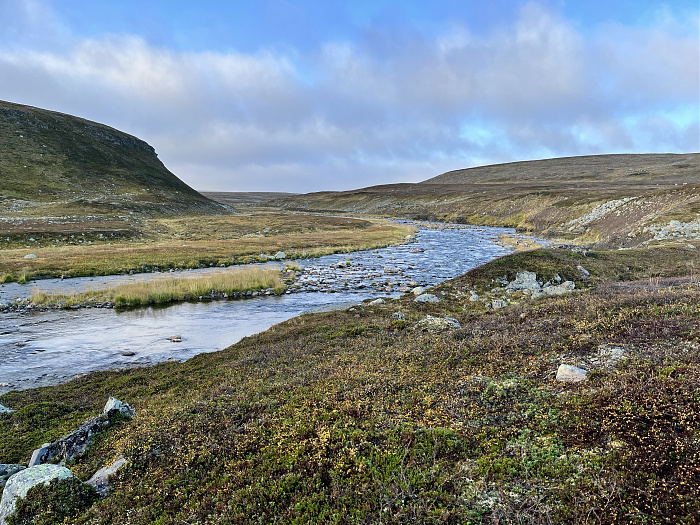 Klicke auf die Grafik für eine vergrößerte Ansicht

Name: 20230-09 Varanger - 003381.jpg
Ansichten: 322
Größe: 5,67 MB
ID: 3262626