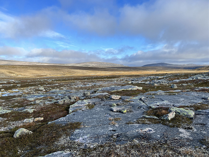 Klicke auf die Grafik für eine vergrößerte Ansicht

Name: 20230-09 Varanger - 003429.jpg
Ansichten: 319
Größe: 4,90 MB
ID: 3262635