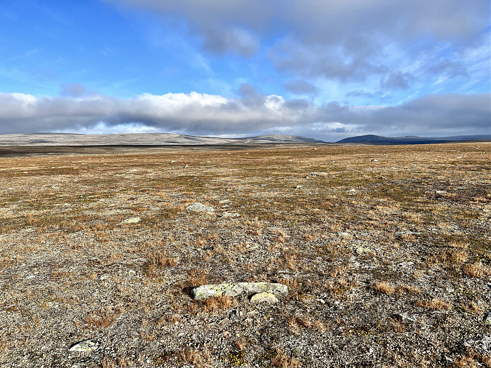 Klicke auf die Grafik für eine vergrößerte Ansicht

Name: 20230-09 Varanger - 003461.jpg
Ansichten: 325
Größe: 6,71 MB
ID: 3262642