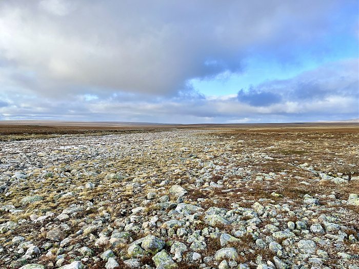 Klicke auf die Grafik für eine vergrößerte Ansicht

Name: 20230-09 Varanger - 003468.jpg
Ansichten: 316
Größe: 5,04 MB
ID: 3262643
