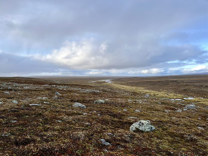 Klicke auf die Grafik für eine vergrößerte Ansicht

Name: 20230-09 Varanger - 003480.jpg
Ansichten: 312
Größe: 4,58 MB
ID: 3262644