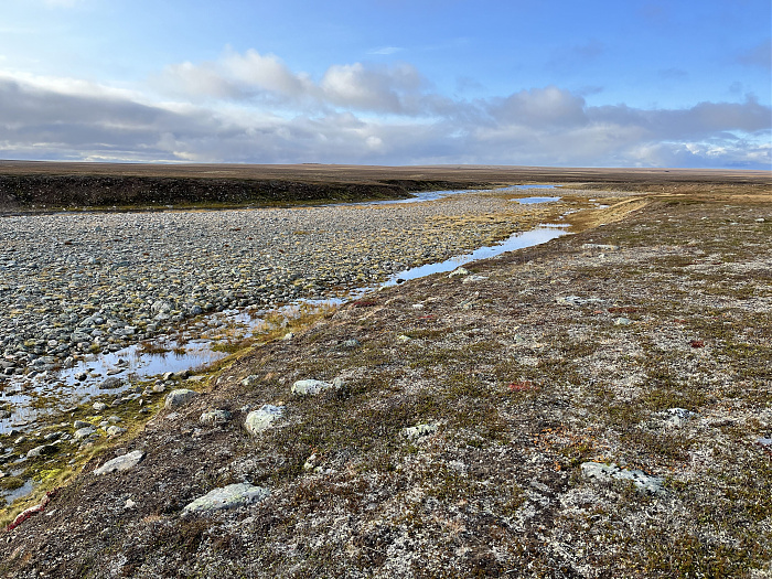 Klicke auf die Grafik für eine vergrößerte Ansicht

Name: 20230-09 Varanger - 003472.jpg
Ansichten: 325
Größe: 6,36 MB
ID: 3262645