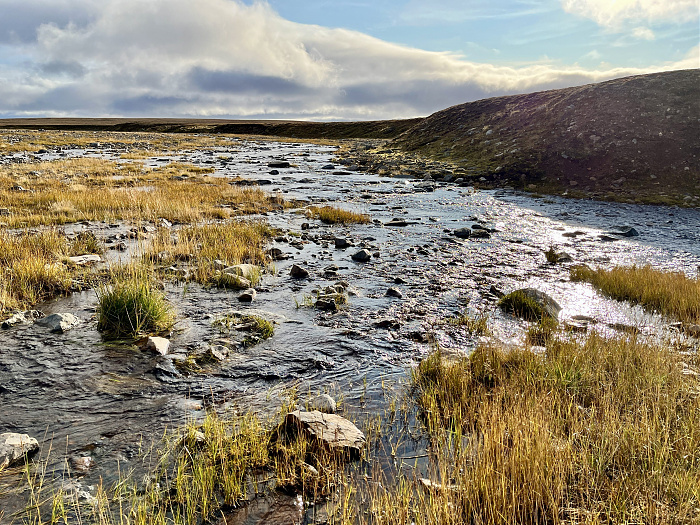 Klicke auf die Grafik für eine vergrößerte Ansicht

Name: 20230-09 Varanger - 003475.jpg
Ansichten: 325
Größe: 6,43 MB
ID: 3262646
