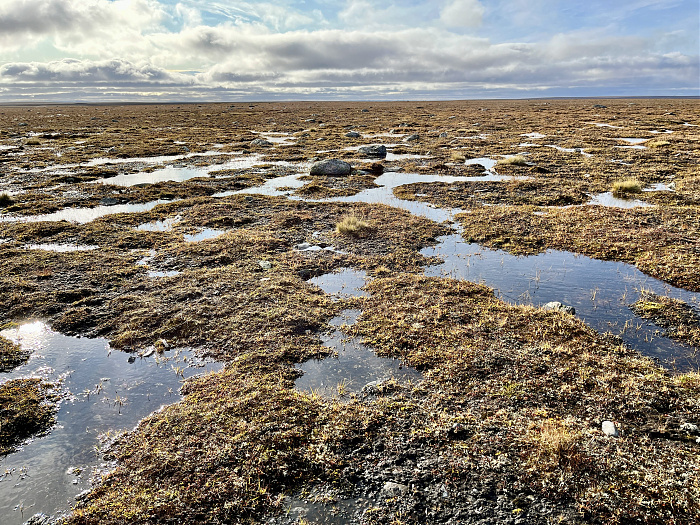 Klicke auf die Grafik für eine vergrößerte Ansicht

Name: 20230-09 Varanger - 003462.jpg
Ansichten: 326
Größe: 7,49 MB
ID: 3262647
