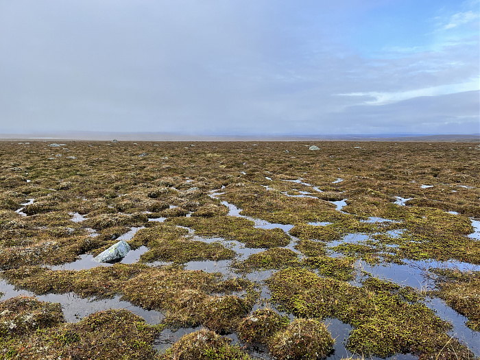 Klicke auf die Grafik für eine vergrößerte Ansicht  Name: 20230-09 Varanger - 003503.jpg Ansichten: 0 Größe: 5,45 MB ID: 3262710