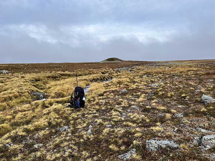 Klicke auf die Grafik für eine vergrößerte Ansicht  Name: 20230-09 Varanger - 003513.jpg Ansichten: 0 Größe: 5,58 MB ID: 3262708