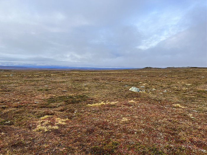 Klicke auf die Grafik für eine vergrößerte Ansicht  Name: 20230-09 Varanger - 003512.jpg Ansichten: 0 Größe: 5,13 MB ID: 3262709