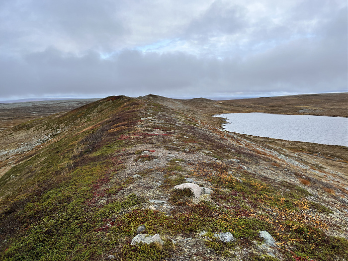 Klicke auf die Grafik für eine vergrößerte Ansicht  Name: 20230-09 Varanger - 003530.jpg Ansichten: 0 Größe: 5,28 MB ID: 3262715