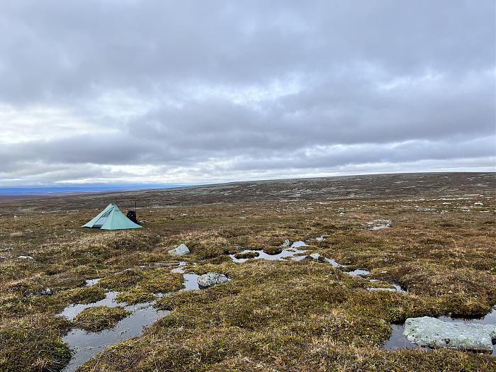 Klicke auf die Grafik für eine vergrößerte Ansicht  Name: 20230-09 Varanger - 003556.jpg Ansichten: 0 Größe: 4,58 MB ID: 3262719