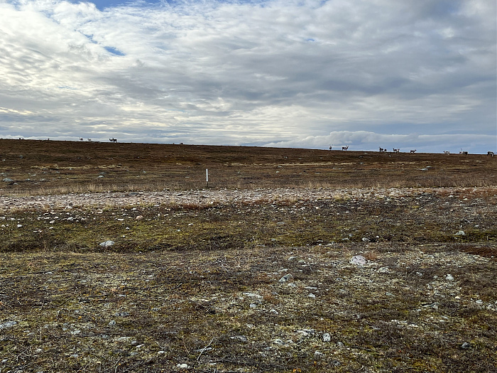 Klicke auf die Grafik für eine vergrößerte Ansicht  Name: 20230-09 Varanger - 003594.jpg Ansichten: 0 Größe: 4,46 MB ID: 3262725