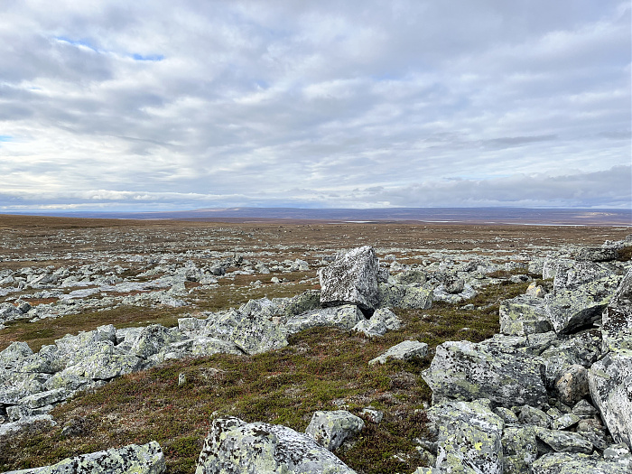 Klicke auf die Grafik für eine vergrößerte Ansicht  Name: 20230-09 Varanger - 003588.jpg Ansichten: 0 Größe: 4,84 MB ID: 3262727