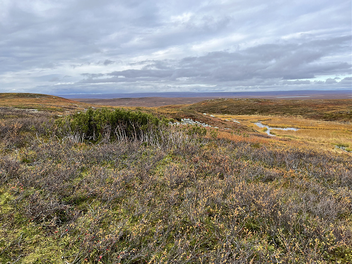 Klicke auf die Grafik für eine vergrößerte Ansicht  Name: 20230-09 Varanger - 003609.jpg Ansichten: 0 Größe: 6,06 MB ID: 3262729