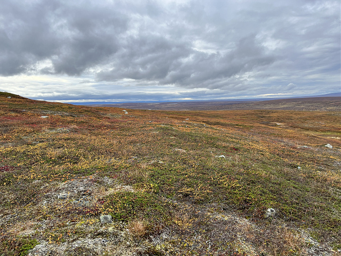 Klicke auf die Grafik für eine vergrößerte Ansicht  Name: 20230-09 Varanger - 003606.jpg Ansichten: 0 Größe: 5,88 MB ID: 3262730