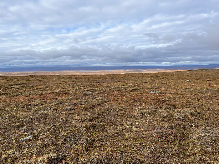 Klicke auf die Grafik für eine vergrößerte Ansicht  Name: 20230-09 Varanger - 003598.jpg Ansichten: 0 Größe: 5,43 MB ID: 3262733