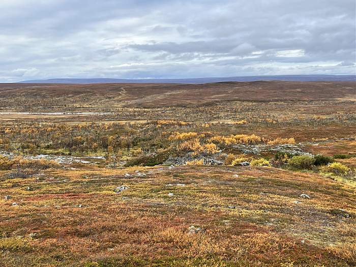 Klicke auf die Grafik für eine vergrößerte Ansicht  Name: 20230-09 Varanger - 003618.jpg Ansichten: 0 Größe: 5,14 MB ID: 3262734