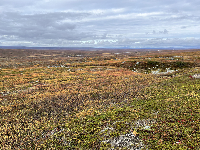 Klicke auf die Grafik für eine vergrößerte Ansicht  Name: 20230-09 Varanger - 003615.jpg Ansichten: 0 Größe: 6,48 MB ID: 3262736