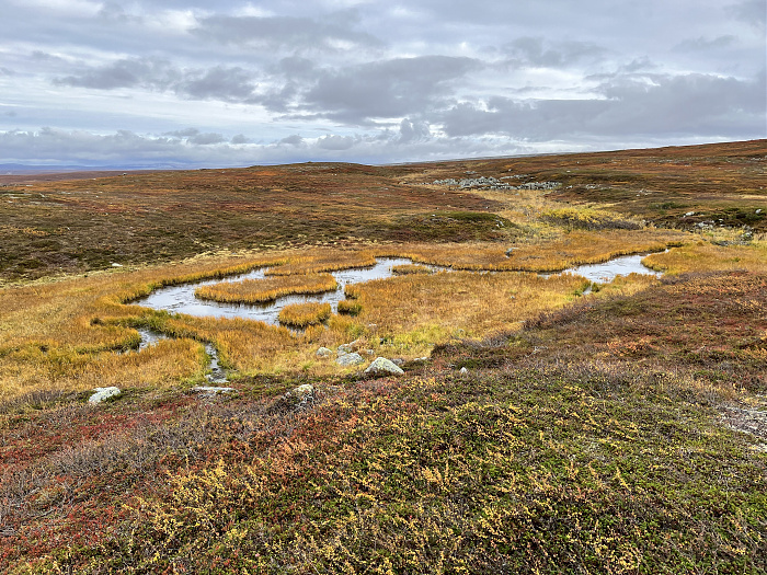Klicke auf die Grafik für eine vergrößerte Ansicht  Name: 20230-09 Varanger - 003611.jpg Ansichten: 0 Größe: 6,28 MB ID: 3262738
