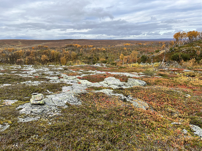 Klicke auf die Grafik für eine vergrößerte Ansicht  Name: 20230-09 Varanger - 003624.jpg Ansichten: 0 Größe: 6,99 MB ID: 3262739