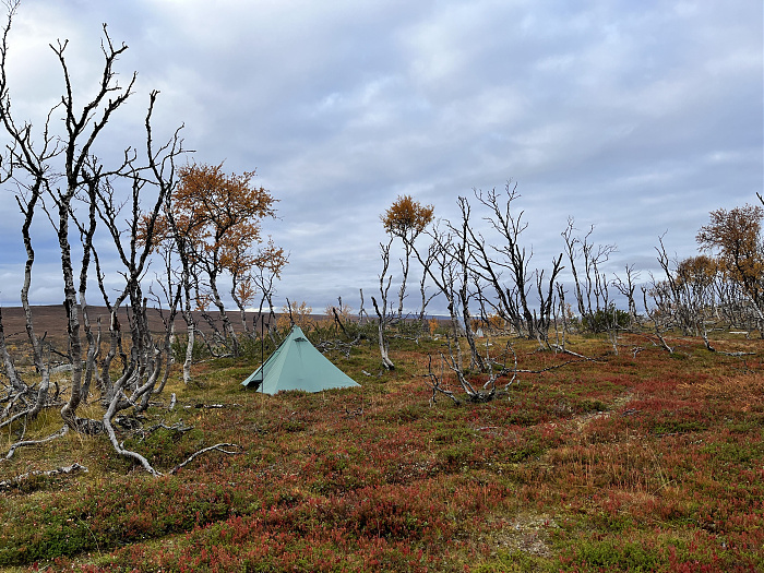 Klicke auf die Grafik für eine vergrößerte Ansicht  Name: 20230-09 Varanger - 003636.jpg Ansichten: 0 Größe: 5,04 MB ID: 3262746