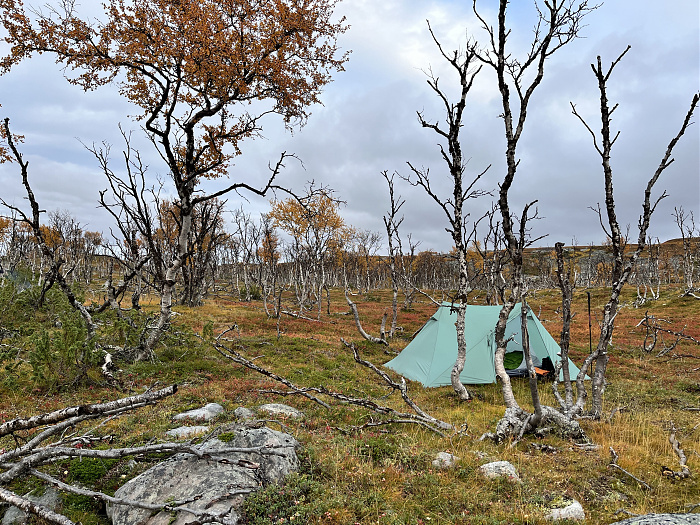 Klicke auf die Grafik für eine vergrößerte Ansicht  Name: 20230-09 Varanger - 003639.jpg Ansichten: 0 Größe: 6,20 MB ID: 3262748