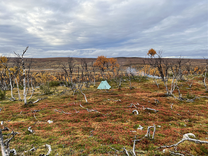 Klicke auf die Grafik für eine vergrößerte Ansicht  Name: 20230-09 Varanger - 003637.jpg Ansichten: 0 Größe: 5,75 MB ID: 3262750