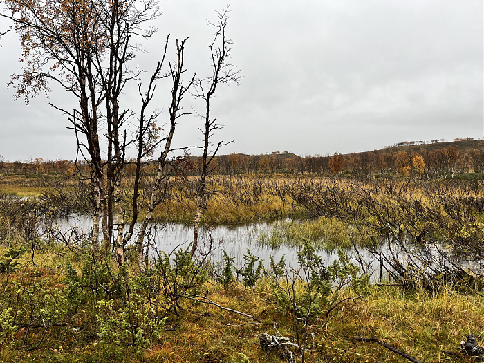 Klicke auf die Grafik für eine vergrößerte Ansicht  Name: 20230-09 Varanger - 003654.jpg Ansichten: 0 Größe: 5,99 MB ID: 3262819