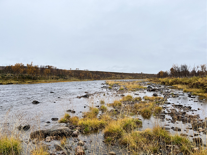 Klicke auf die Grafik für eine vergrößerte Ansicht  Name: 20230-09 Varanger - 003661.jpg Ansichten: 0 Größe: 4,35 MB ID: 3262823