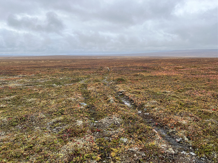 Klicke auf die Grafik für eine vergrößerte Ansicht  Name: 20230-09 Varanger - 003690.jpg Ansichten: 0 Größe: 6,31 MB ID: 3262828