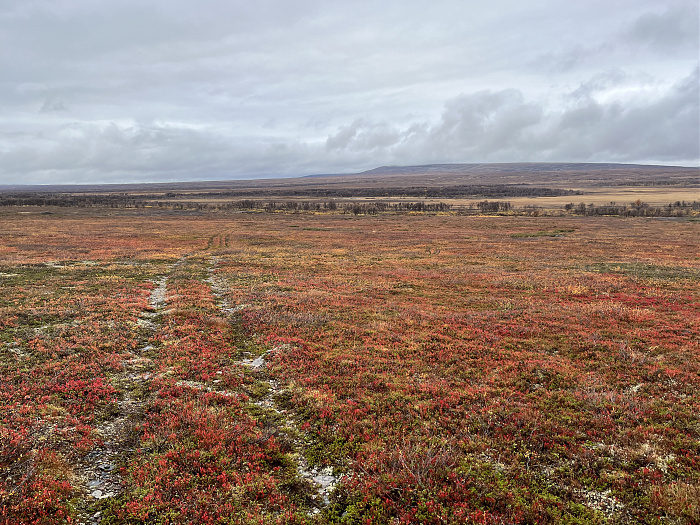 Klicke auf die Grafik für eine vergrößerte Ansicht  Name: 20230-09 Varanger - 003703.jpg Ansichten: 0 Größe: 5,73 MB ID: 3262829