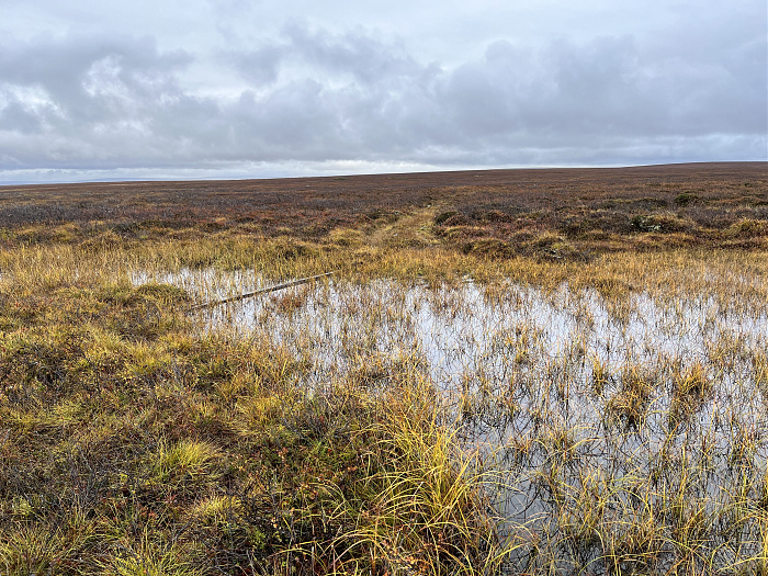 Klicke auf die Grafik für eine vergrößerte Ansicht  Name: 20230-09 Varanger - 003693.jpg Ansichten: 0 Größe: 6,57 MB ID: 3262830