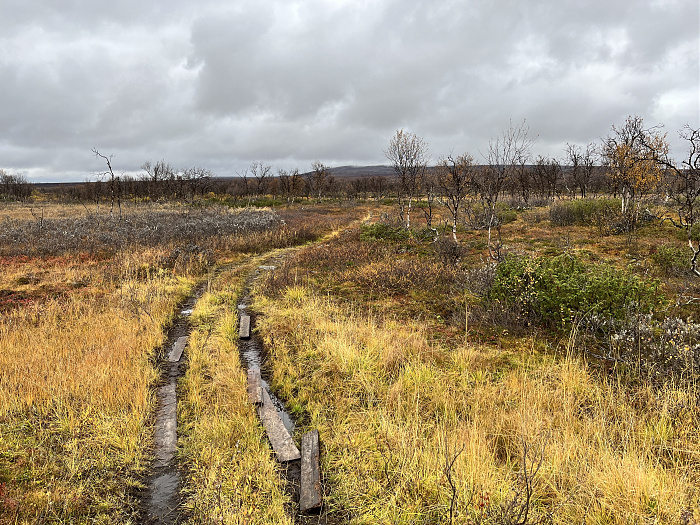 Klicke auf die Grafik für eine vergrößerte Ansicht  Name: 20230-09 Varanger - 003724.jpg Ansichten: 0 Größe: 6,56 MB ID: 3262838