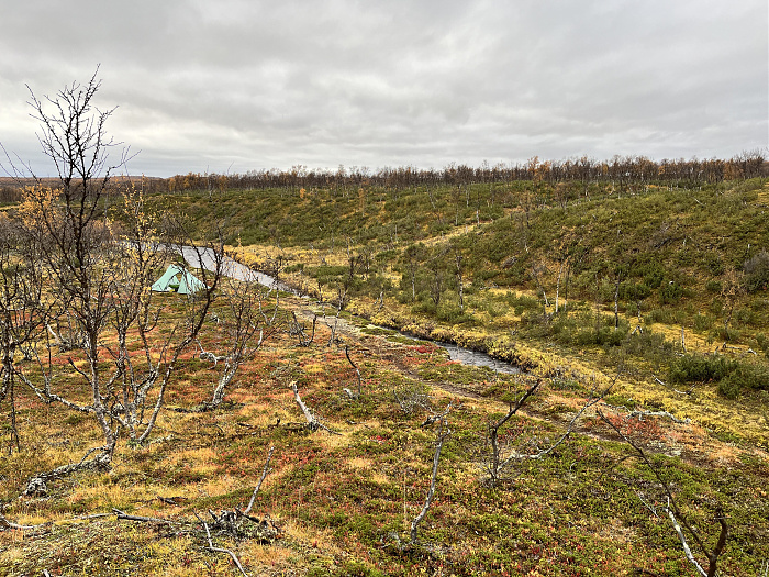 Klicke auf die Grafik für eine vergrößerte Ansicht  Name: 20230-09 Varanger - 003776.jpg Ansichten: 0 Größe: 6,65 MB ID: 3262850