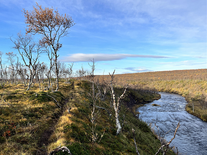 Klicke auf die Grafik für eine vergrößerte Ansicht  Name: 20230-09 Varanger - 003810.jpg Ansichten: 0 Größe: 5,53 MB ID: 3262871