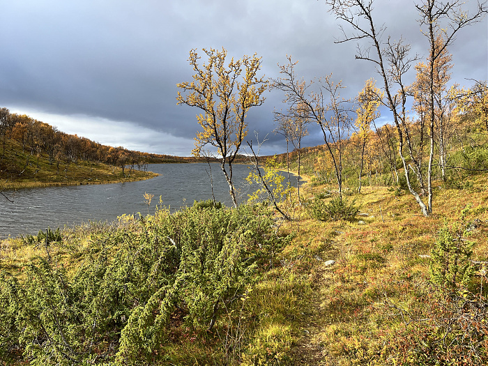 Klicke auf die Grafik für eine vergrößerte Ansicht  Name: 20230-09 Varanger - 003855.jpg Ansichten: 0 Größe: 7,15 MB ID: 3262884