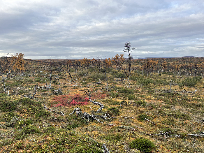 Klicke auf die Grafik für eine vergrößerte Ansicht  Name: 20230-09 Varanger - 003896.jpg Ansichten: 0 Größe: 5,60 MB ID: 3262887
