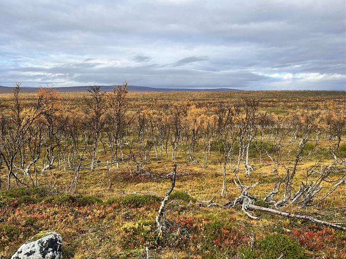 Klicke auf die Grafik für eine vergrößerte Ansicht  Name: 20230-09 Varanger - 003883.jpg Ansichten: 0 Größe: 6,26 MB ID: 3262888