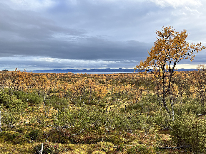 Klicke auf die Grafik für eine vergrößerte Ansicht  Name: 20230-09 Varanger - 003868.jpg Ansichten: 0 Größe: 5,92 MB ID: 3262889