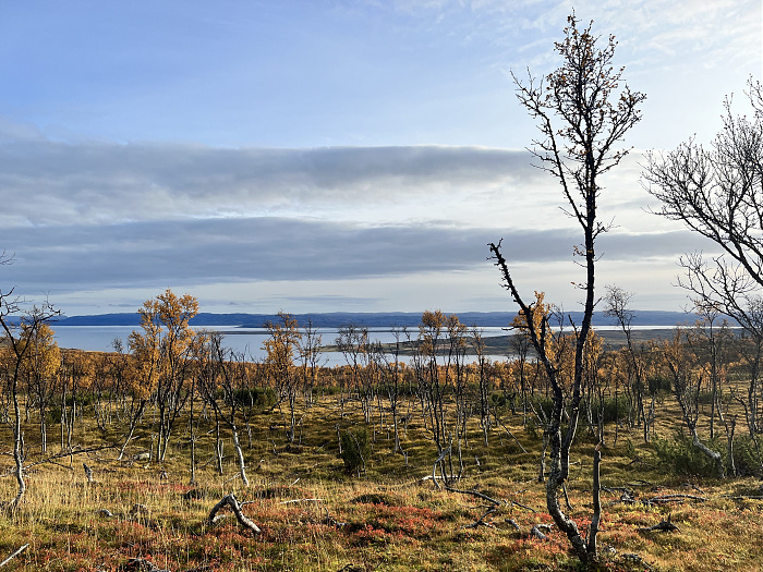 Klicke auf die Grafik für eine vergrößerte Ansicht  Name: 20230-09 Varanger - 003904.jpg Ansichten: 0 Größe: 5,07 MB ID: 3262891