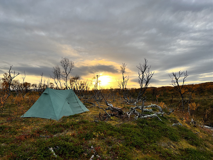 Klicke auf die Grafik für eine vergrößerte Ansicht

Name: 20230-09 Varanger - 003921.jpg
Ansichten: 246
Größe: 4,07 MB
ID: 3262909