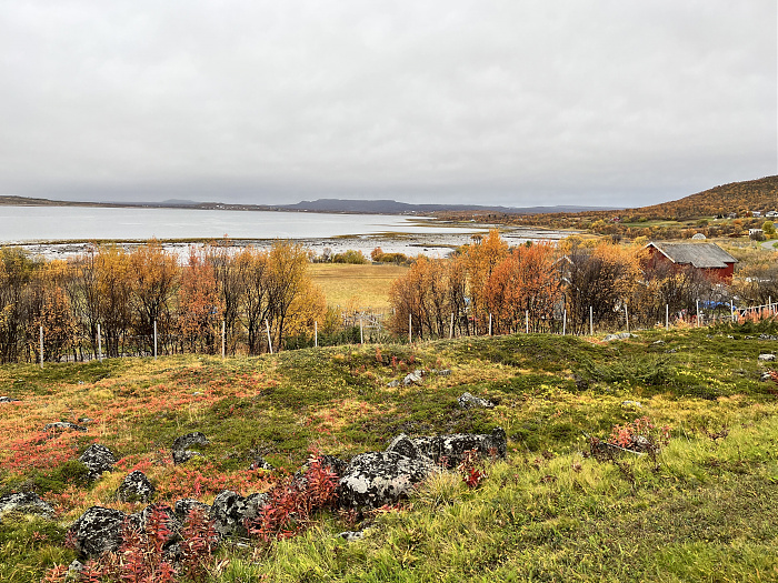 Klicke auf die Grafik für eine vergrößerte Ansicht

Name: 20230-09 Varanger - 003939.jpg
Ansichten: 238
Größe: 5,69 MB
ID: 3262947