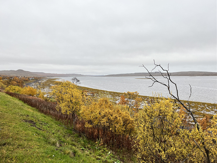 Klicke auf die Grafik für eine vergrößerte Ansicht  Name: 20230-09 Varanger - 003947.jpg Ansichten: 0 Größe: 4,50 MB ID: 3262954