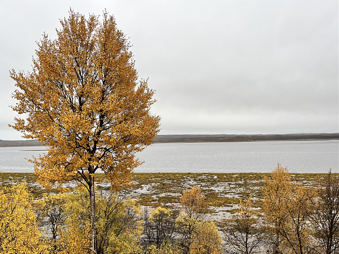 Klicke auf die Grafik für eine vergrößerte Ansicht  Name: 20230-09 Varanger - 003945.jpg Ansichten: 0 Größe: 3,37 MB ID: 3262955