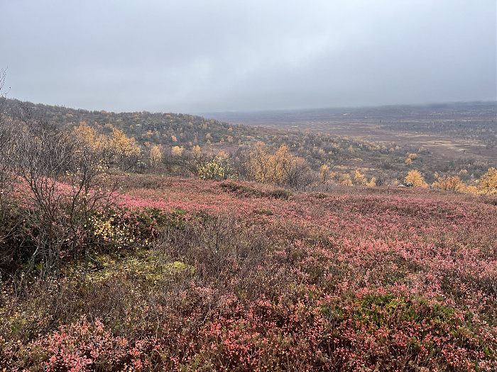 Klicke auf die Grafik für eine vergrößerte Ansicht  Name: 20230-09 Varanger - 003965.jpg Ansichten: 0 Größe: 5,78 MB ID: 3262967