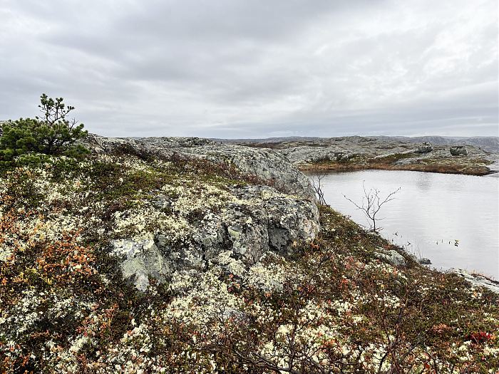 Klicke auf die Grafik für eine vergrößerte Ansicht

Name: 20230-09 Varanger - 004006.jpg
Ansichten: 213
Größe: 5,70 MB
ID: 3262988