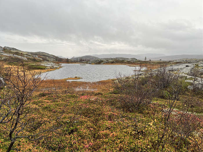 Klicke auf die Grafik für eine vergrößerte Ansicht

Name: 20230-09 Varanger - 004021.jpg
Ansichten: 214
Größe: 5,71 MB
ID: 3262990