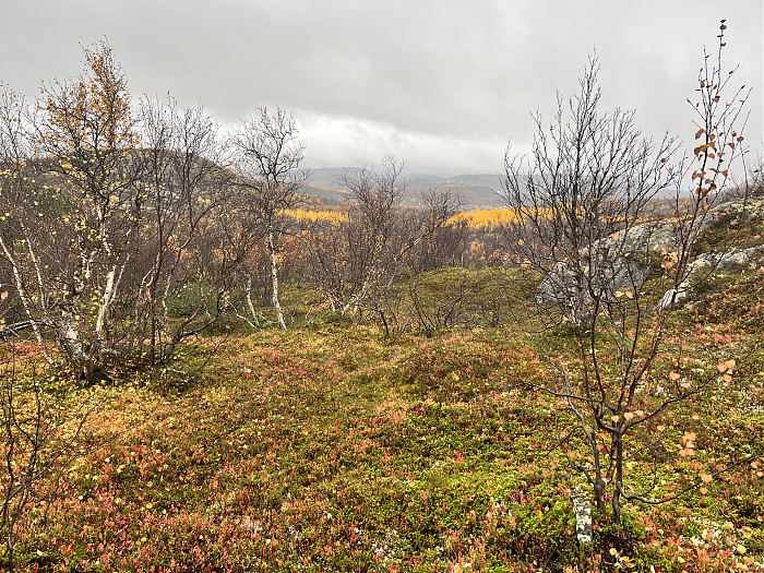Klicke auf die Grafik für eine vergrößerte Ansicht

Name: 20230-09 Varanger - 004030.jpg
Ansichten: 216
Größe: 6,88 MB
ID: 3262995