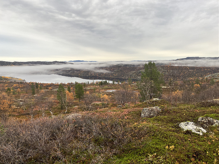 Klicke auf die Grafik für eine vergrößerte Ansicht  Name: 20230-09 Varanger - 004131.jpg Ansichten: 0 Größe: 4,82 MB ID: 3263103