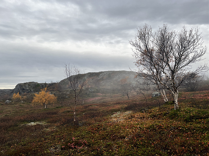 Klicke auf die Grafik für eine vergrößerte Ansicht  Name: 20230-09 Varanger - 004124.jpg Ansichten: 0 Größe: 4,91 MB ID: 3263105